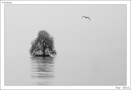 paysage solitude_nb_100422_100-0737